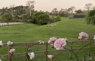 348A Horseshoe Bush Road, Dairy Flat