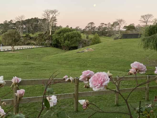 348A Horseshoe Bush Road, Dairy Flat