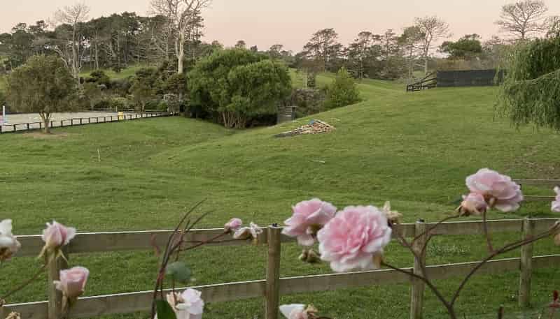 348A Horseshoe Bush Road, Dairy Flat