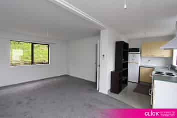 2 D Haddon Place, Dunedin Central