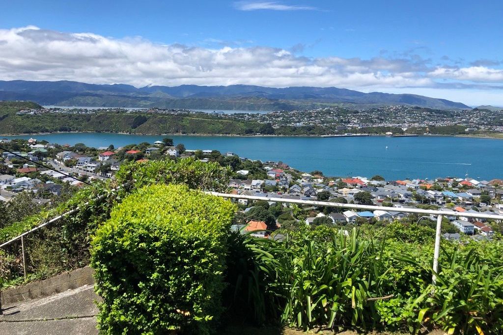 Panoramic views over Hataitai - Widok 3