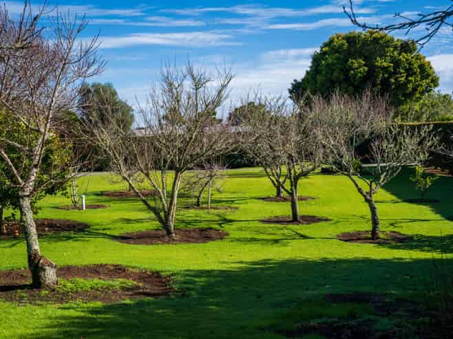 21A Pyle Road East, One Tree Point