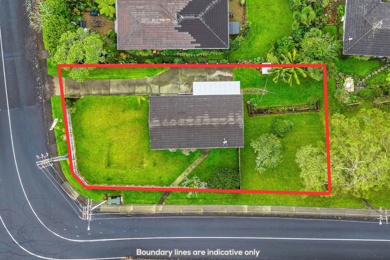 Renovate/Land Bank/Subdivide – Endless Potential – pohled 3
