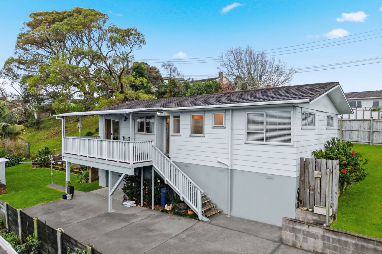 Renovate/Land Bank/Subdivide – Endless Potential – pohled 4