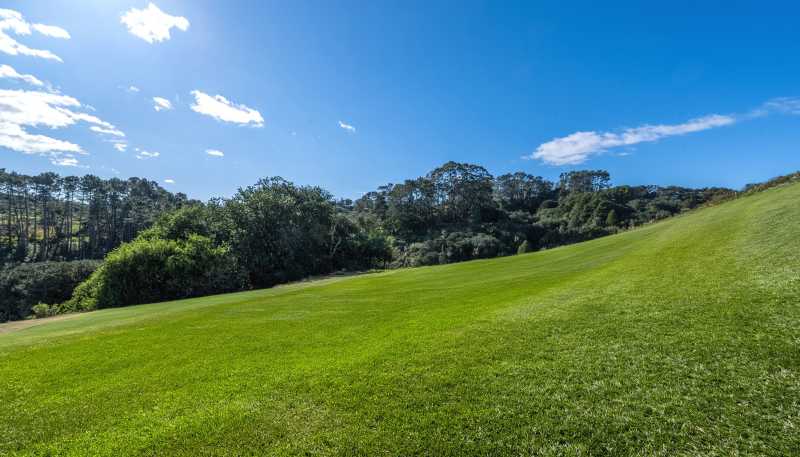Lot 2-8, 162 Ara-Kotinga, Whitford