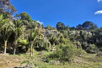 1797 Colville Road, Coromandel