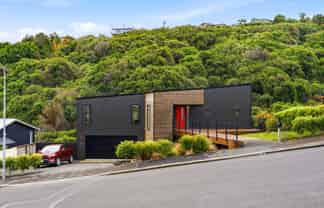 197 Somerville Street, Shiel Hill