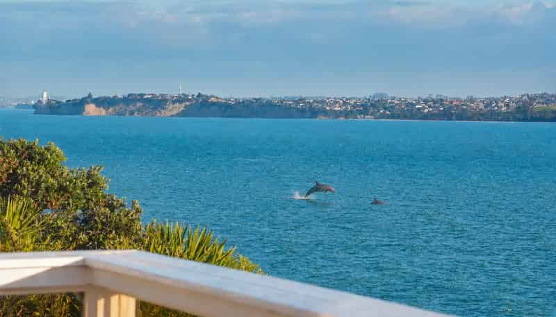 819 Whangaparaoa Road, Manly