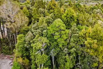 8 Harrison Place, KUMARA JUNCTION