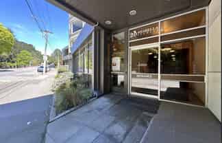 317/20 Glenmore Street, Thorndon