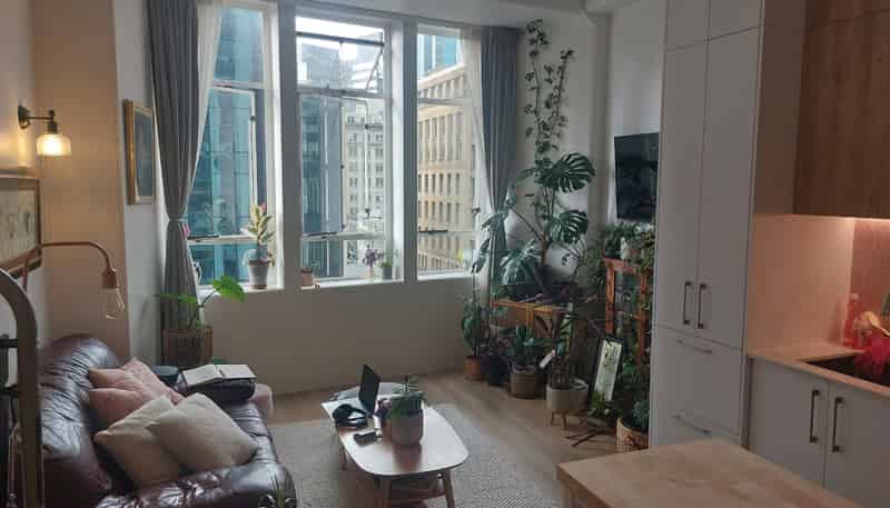 501/105 Queen Street, Auckland Central