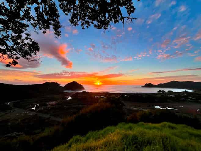 649 Medland Road, Great Barrier Island