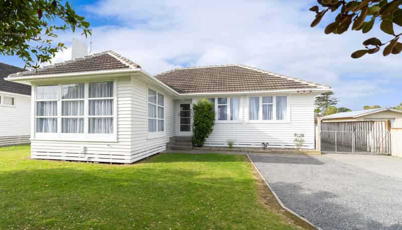20 Gardener Street, Levin