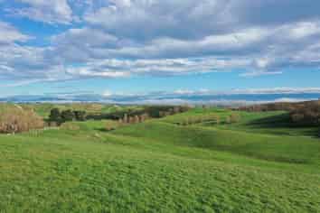 223  and 224 Peacock Rd, Waipukurau