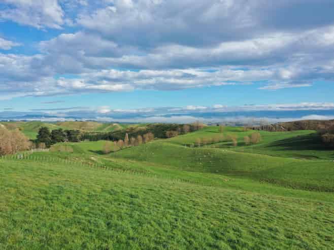 223 and 22 Peacock Road, Waipukurau