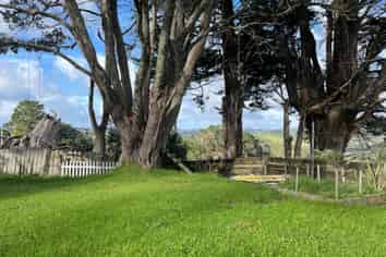 85 Candia Road, Henderson Valley