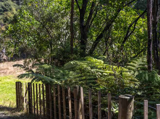 1223 Old North Road, Waimauku
