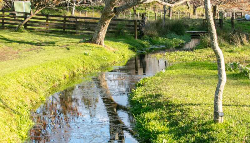 86 Old Highway, Whakamarama