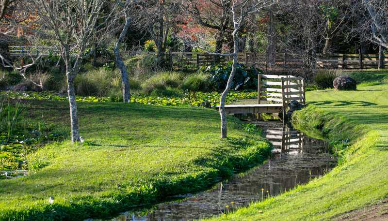 86 Old Highway, Whakamarama