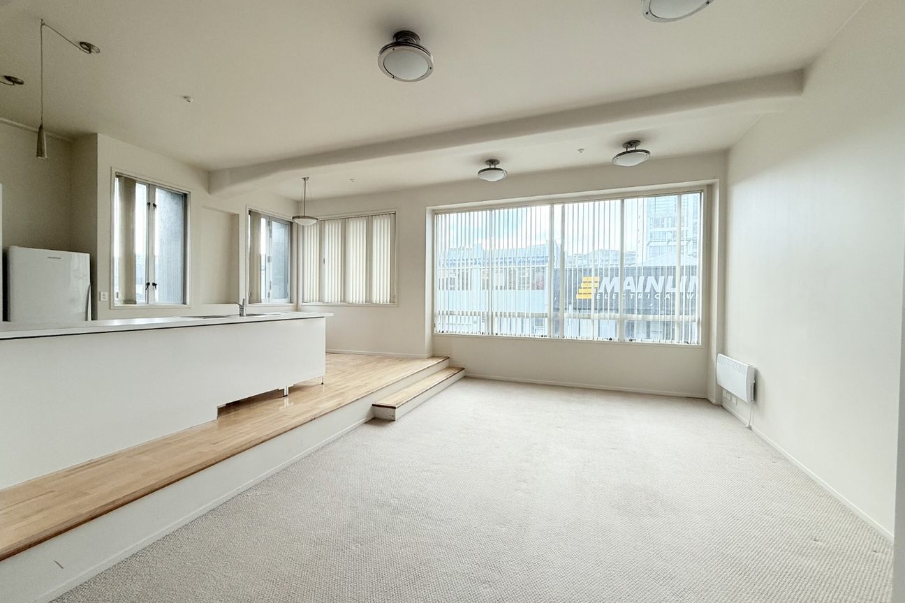 Large 2 Bedroom City Apartment - Vista 3