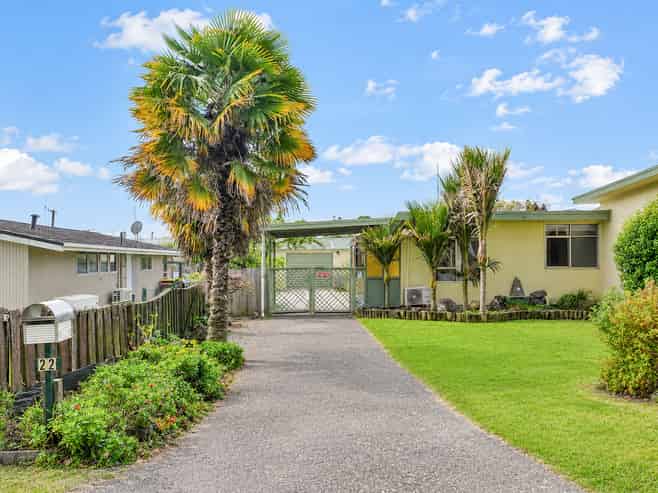 22 Mitcham Avenue, Forest Lake