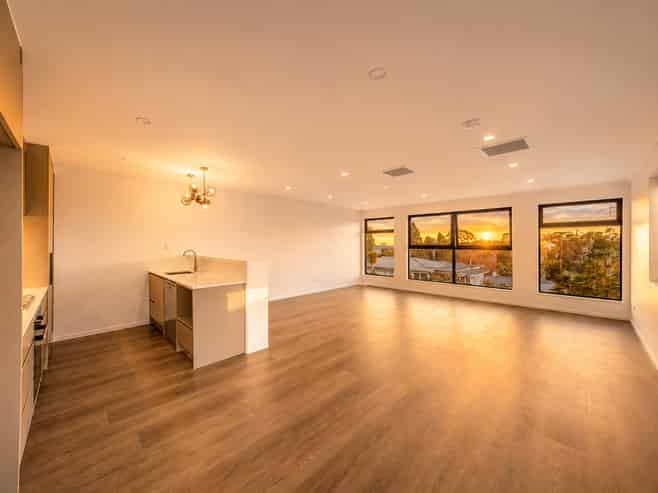 3/1 George Laurenson Lane, Mount Roskill