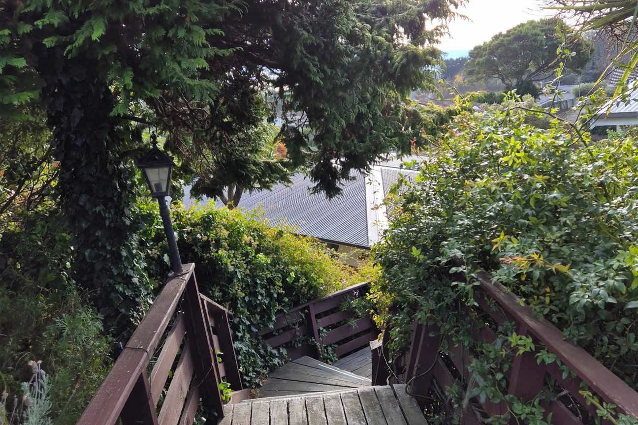 27 Kinvig Street, Andersons Bay - Ansicht 4