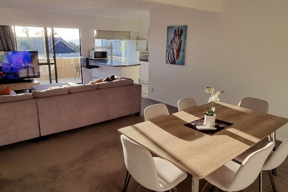 Fully furnished one bedroom unit - View 5