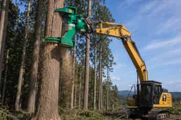 Asset-Backed Tree Contracting Business