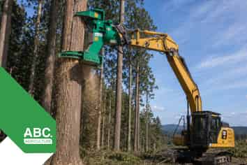 Asset-Backed Tree Contracting Business