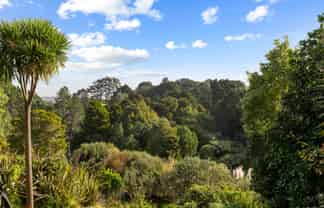 37B Harrisville Road, Tuakau