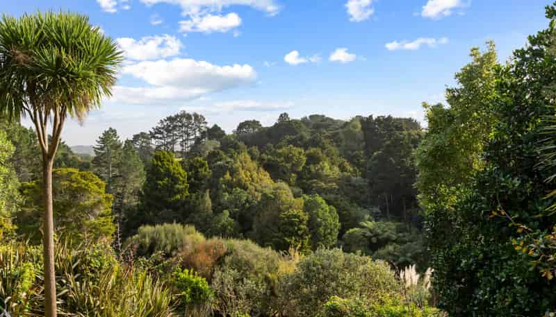 37B Harrisville Road, Tuakau