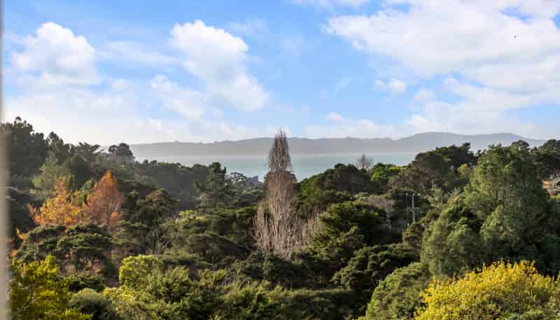 44 Rewa Road, Maraetai
