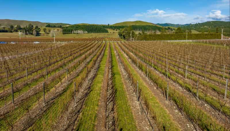 2384 State Highway 63, Wairau Valley