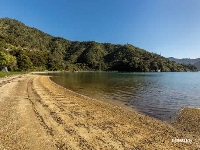 10 Phillips Road, Ngakuta Bay