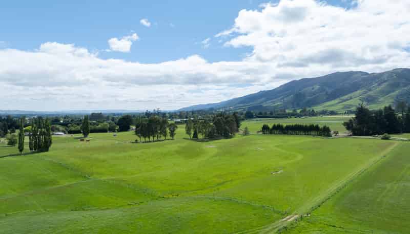 Lot 4 Cahill Road, Tapanui
