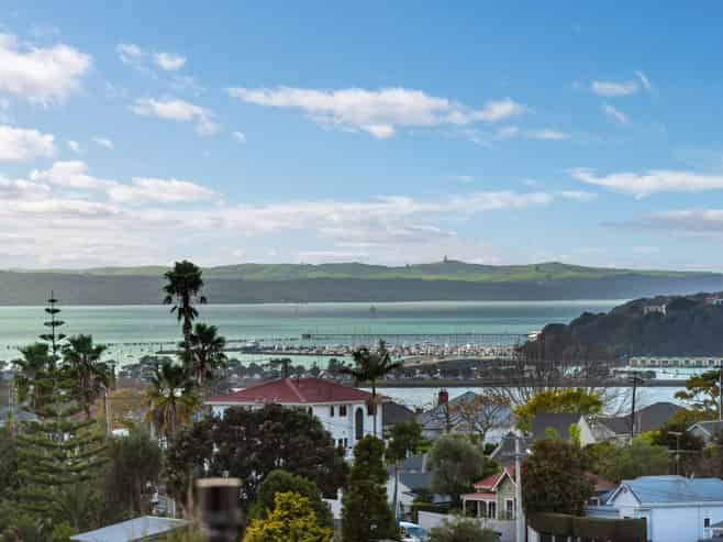 11 Joseph Banks Terrace, Remuera