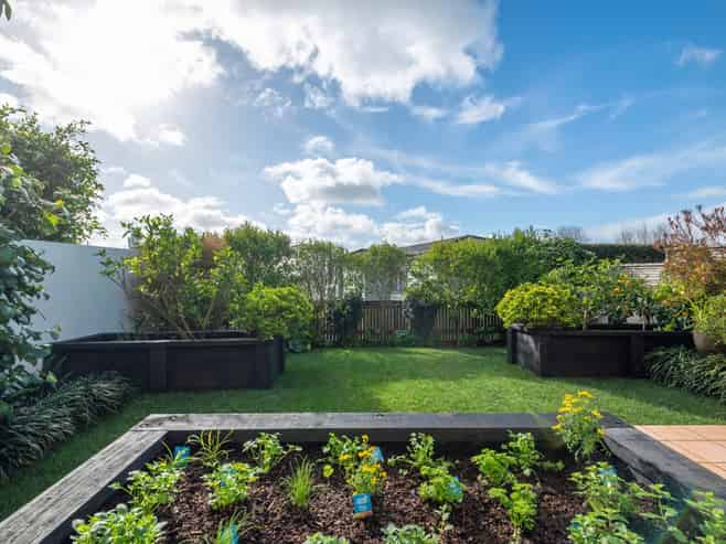 11 Joseph Banks Terrace, Remuera
