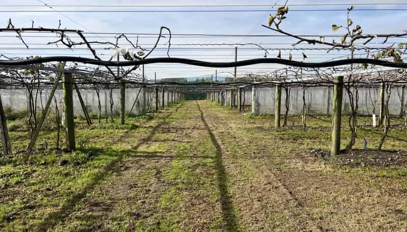 341 Glenbrook Waiuku Road, Glenbrook