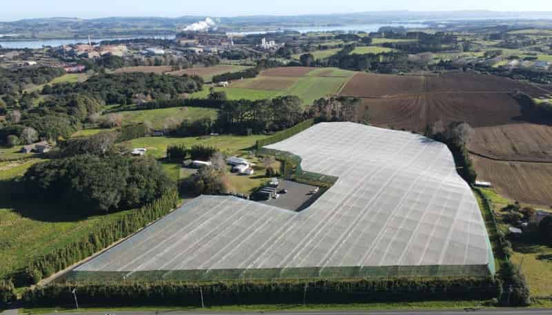 341 Glenbrook Waiuku Road, Glenbrook