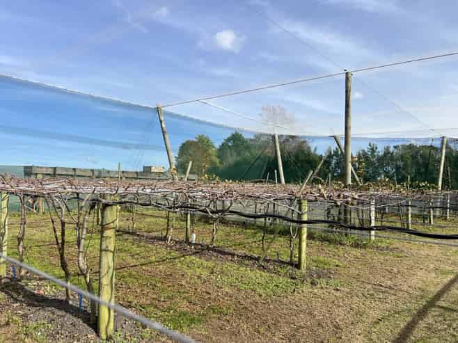 341 Glenbrook Waiuku Road, Glenbrook
