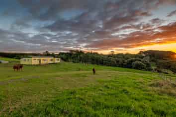 Bay of Plenty - Address withheld