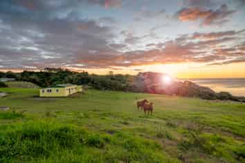 Bay of Plenty - Address withheld