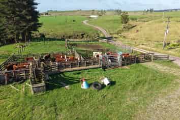194 Toia Road, Okaihau
