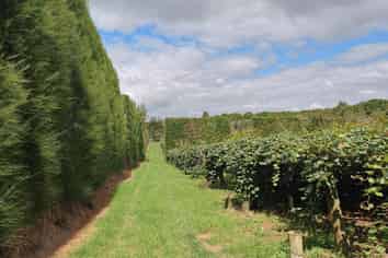 1414b State Highway 10, Kerikeri