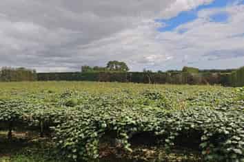 1414b State Highway 10, Kerikeri