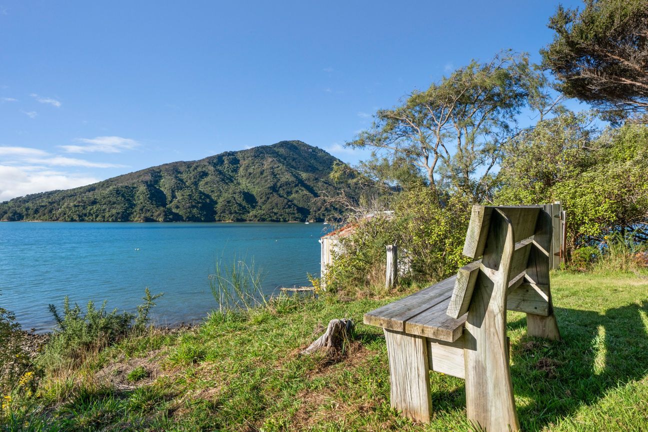 House in Havelock - View 4