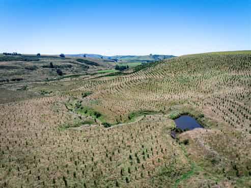  475 Elders Road, Maungati