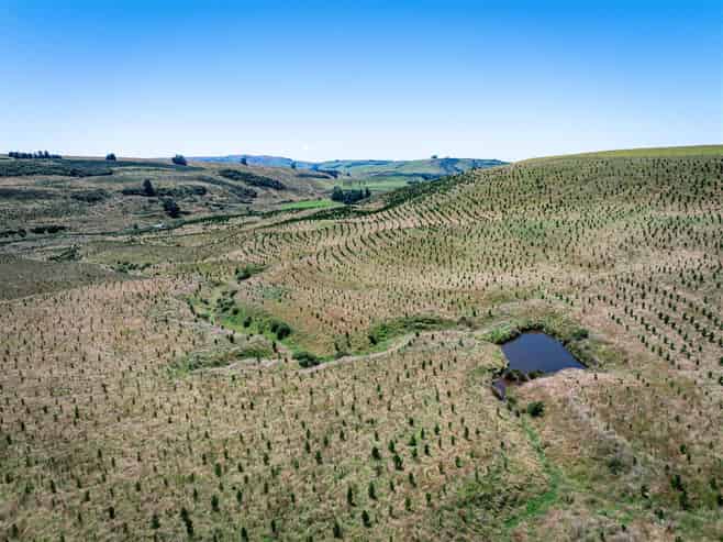  475 Elders Road, Maungati