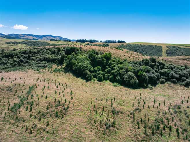  475 Elders Road, Maungati